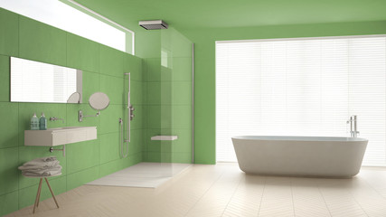 Obraz na płótnie Canvas Minimalist bathroom with bathtub and shower, parquet floor and marble tiles, classic white and green interior design