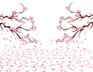 The branches of a blooming pink cherry on both sides of the picture. Sakura. The petals fly in the wind and lie on the ground. Isolated on white background. illustration