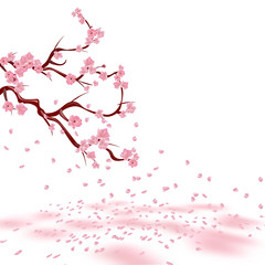 Branches of a faded pink cherry. Sakura. The petals crumble and lie on the ground with pink spots. Isolated on white background. illustration