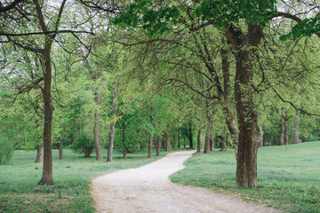 dirt road in the park