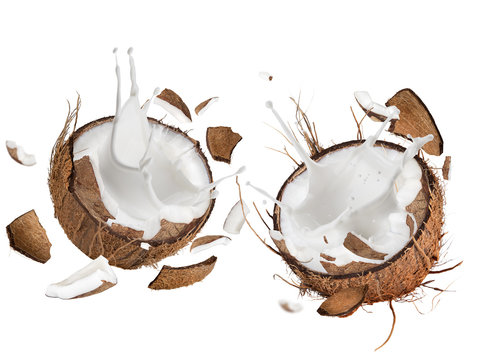 close-up of a coconuts with milk splash.