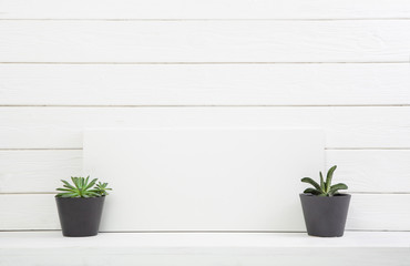 Weiße Holz Wand als Hintergrund mit Zimmerpflanzen als Dekoration für Werbekonzepte