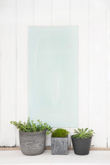 Grauer Shabby Chic weißer Holz Hintergrund mit Zimmerpflanze als Dekoration für Werbekonzepte