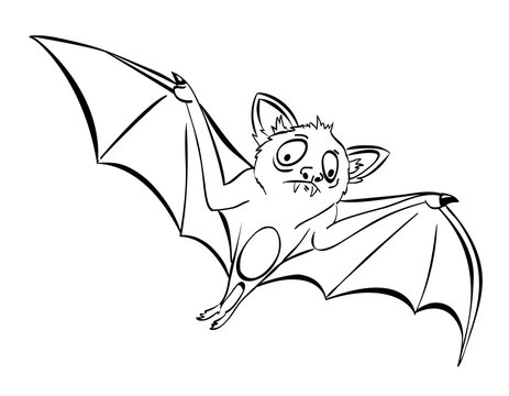 Cartoon image of halloween bat. An artistic freehand picture.