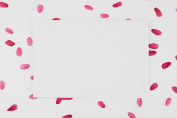 White card on pattern of red and pink petals on white background