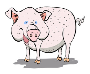 Cartoon image of pig. An artistic freehand picture.