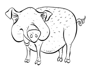 Cartoon image of pig. An artistic freehand picture.