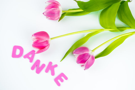 Das Wort Danke mit pink farbenen Buchstaben und drei Tulpen auf weißem Hintergrund