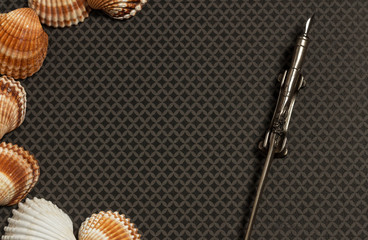Large and small sea shells and ink pen on grey ground