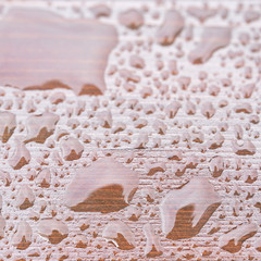 Closeup rain drops