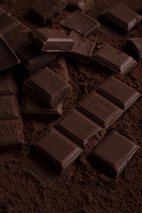 Dark chocolate tile pieces covered in chocolate powder