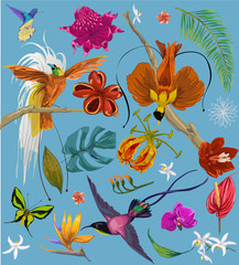Plakaty  jasne tropikalne ptaki i kwiaty