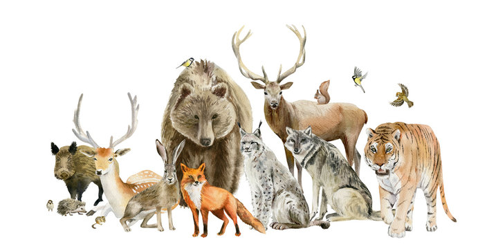 Poster of watercolor hand drawn animal cliparts