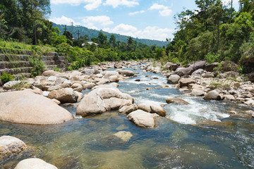 flowing mountain stream with transparent water and stones