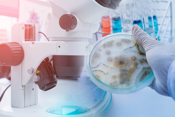 equipment and science experiments