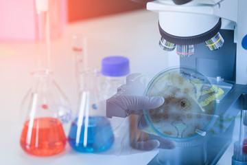 equipment and science experiments