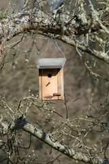 nistkasten in einem obstbaum