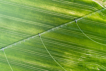 Irrigation system in wheat field