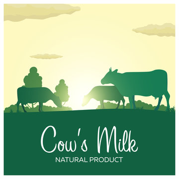 Cow's Milk natural product. Rural landscape with mill and cows. Dawn in the village.