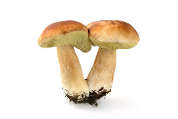 Basket with fresh penny bun  mushrooms on table