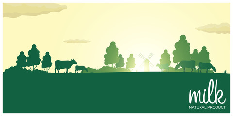 Milk natural product. Rural landscape with mill and cows. Dawn in the village.