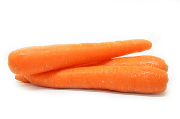 Carrot isolated on white background