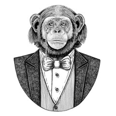 Chimpanzee Monkey Hipster animal Hand drawn illustration for tattoo, emblem, badge, logo, patch, t-shirt - obrazy, fototapety, plakaty
