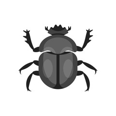 Vector flat style illustration of scarab beetle. 