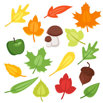 Vector cartoon style set of autumn symbols
