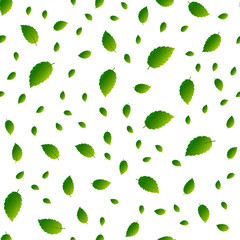 Fresh Mint leaves seamless pattern. Vector illustration