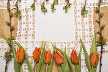 tulipany na białym obrusie