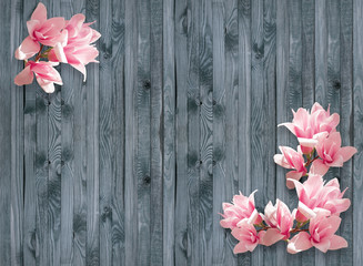 Background with magnolia flowers on wall of wooden planks