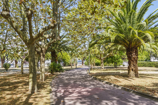 Promenade and trees on Cavadelo park