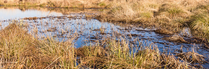 Wasserfläche im Recker Moor
