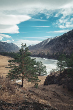 River View/View of the Katun River near the village of Chemal, Altai Mountains, Russia