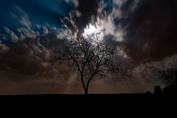 Fototapeta na wymiar Wolken im Mondlicht