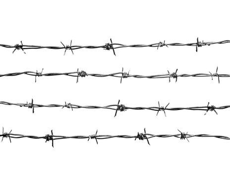 4 lines of  new barbed wire, isolated against the clear white background.