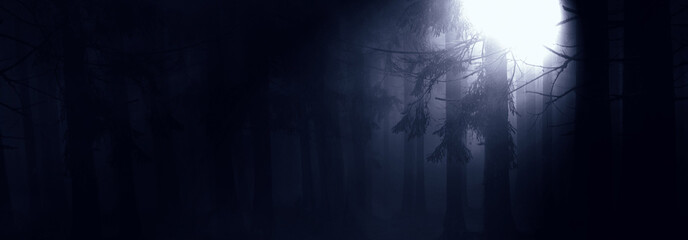 night forest halloween background
