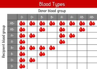 Chart of blood types in drops. Medical and healthcare infographic