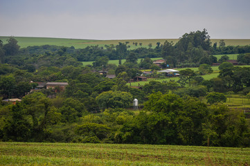 Fototapeta na wymiar landscape of farm composed by hill crops, trees and houses