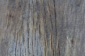 Old wooden texture background. Wood pattern Background.