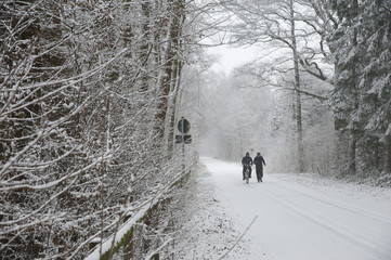 Strasse im Winter mit Schnee bedeckt.