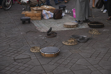 Snakes in Place Djemaa el-Fna in Marrakesh, Morroco
