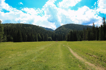 Fototapety na wymiar - Fototapeta24.pl