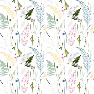 
Floral vector seamless pattern with fern leaves, cornflowers, fireweed, thistles, lavender flowers and meadow grasses outlines.Thin lines  silhouettes in pastel colors on white background