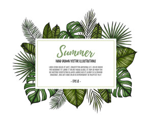 Summer tropical exotic template. Label with palm leaves (monstera, areca palm, fan palm, banana leaves). Hand drawn vector illustration. Perfect for prints, posters, invitations, packing etc