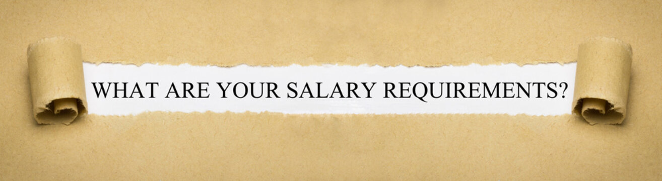 What are your salary requirements?
