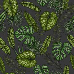 Naklejka na ściany i meble Tropical seamless pattern. Background with palm leaves (monstera, areca palm, fan palm, banana leaves). Hand drawn vector illustration. Perfect for prints, posters, invitations, textile, packing etc