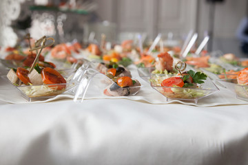Obraz na płótnie Canvas waitress serves tables for cocktail party. catering