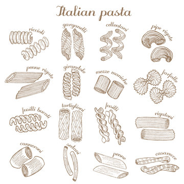 vector set of different pasta shapes